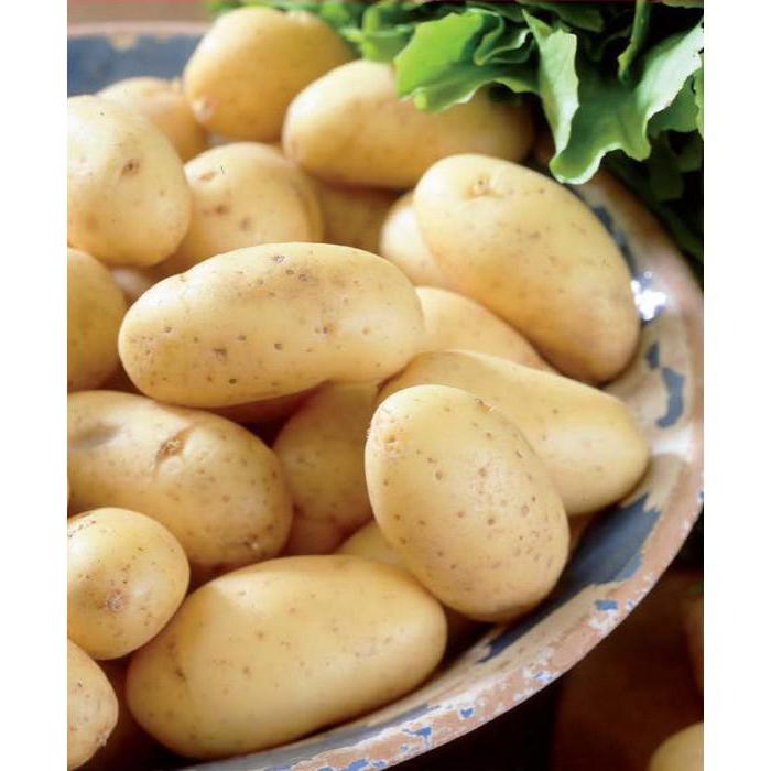 Kartoffel Colombo