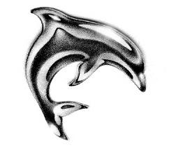 hvordan man tegner en delfin